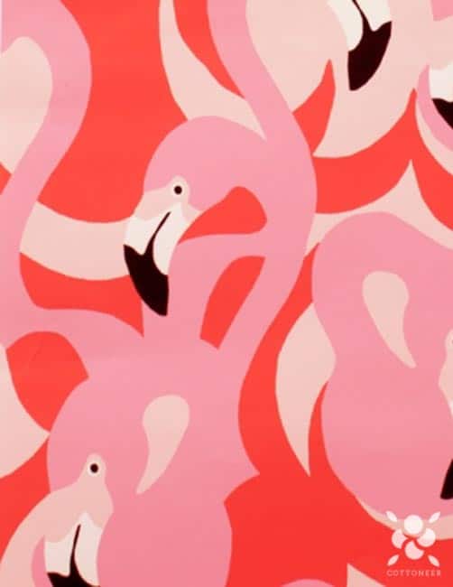 Pink Flamingo Boardwalk Novelty Fabric Cottoneer Fabrics