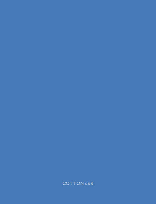 Blue-Jay_puresolid_artgalleryfabrics