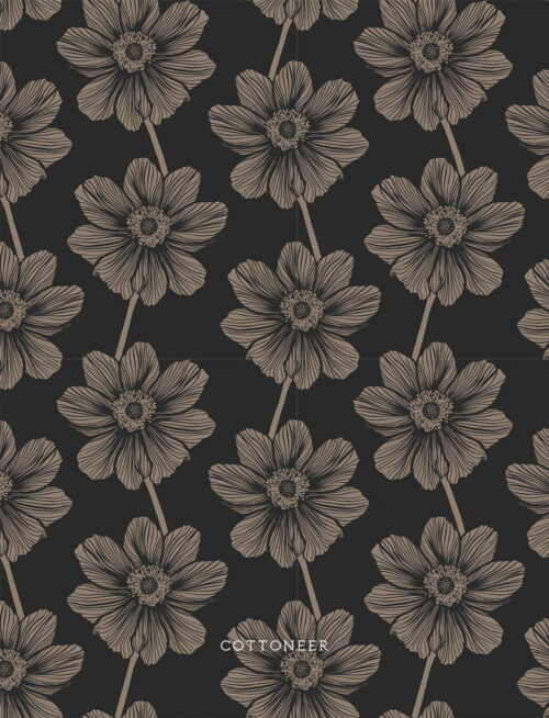 anemone-in-silverton-indelible-anna-maria
