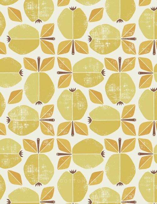 apple-in-yellow-under-the-apple-tree-by-loes-van-oosten