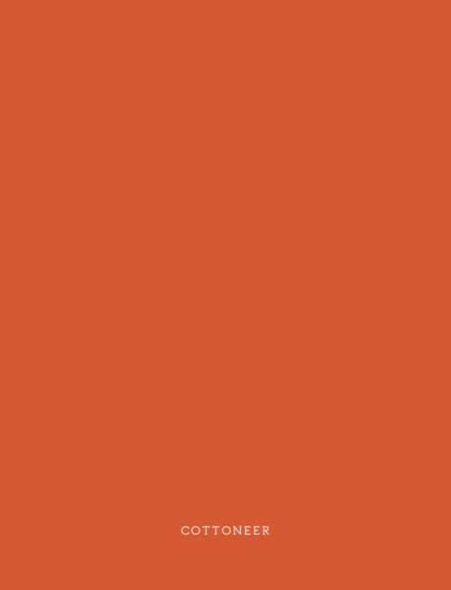 autumnal-flannel-solids-by-agf-studio