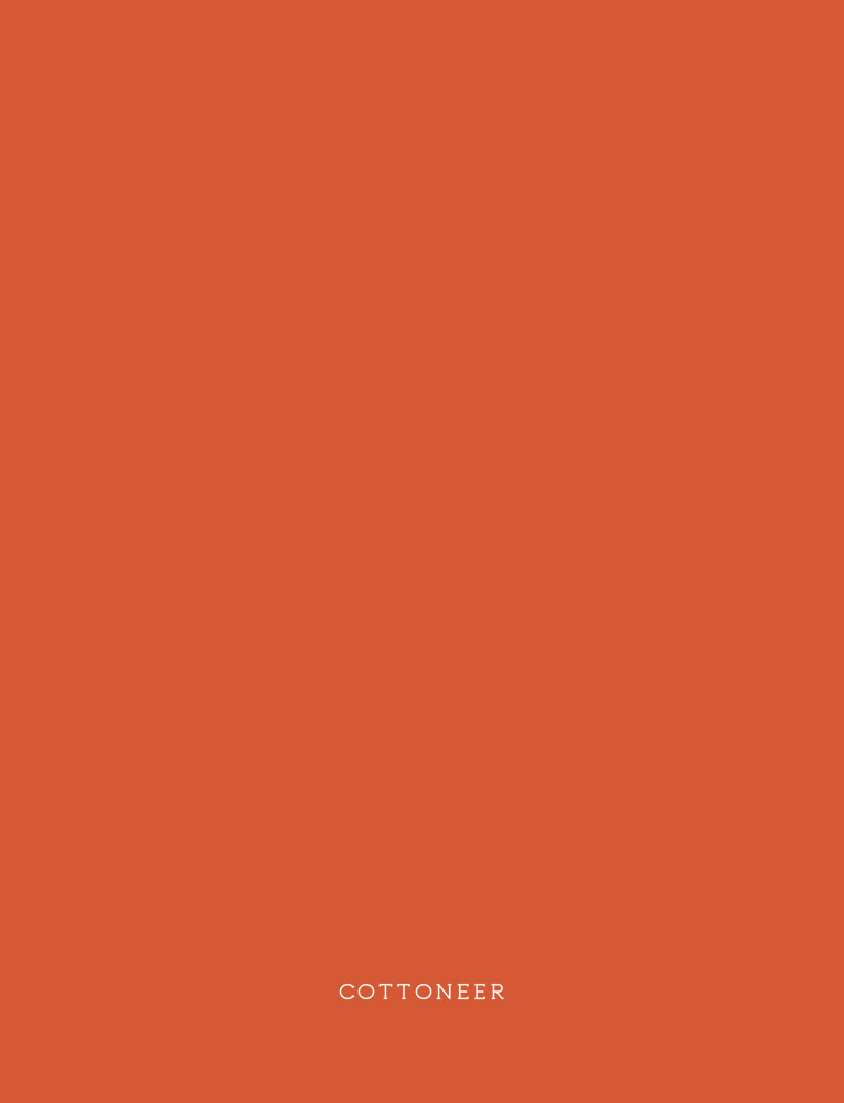 autumnal-flannel-solids-by-agf-studio