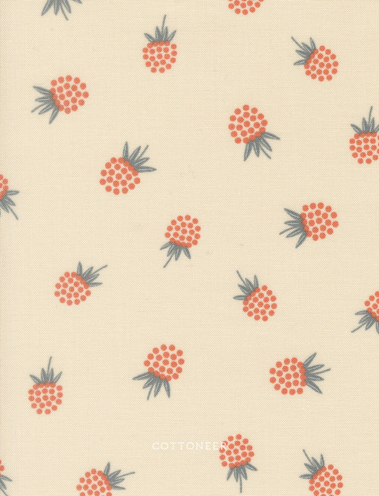 berries-pearl-natures-sketchbook-by-elena-amo-25