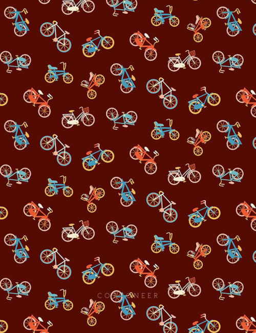 bikes-simple-pleasures-by-naomi-wilkinson