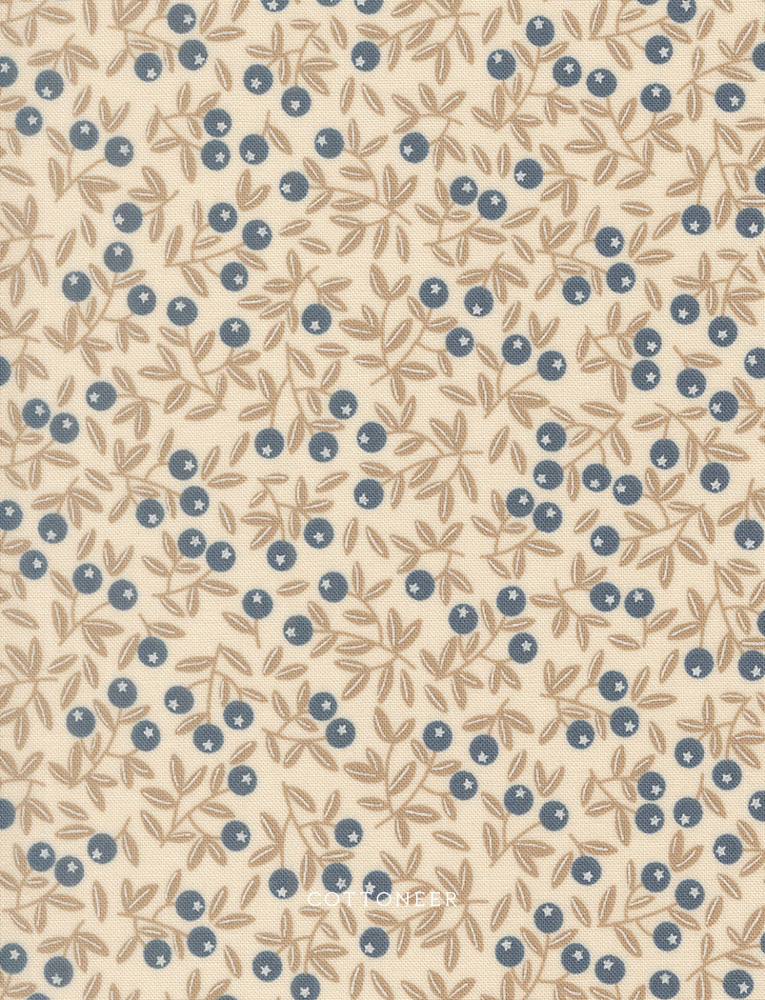 blueberry-blenders-pearl-natures-sketchbook-by-elena-amo-22