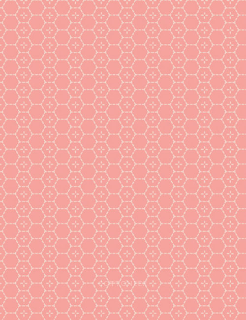 bound-treasures-in-blush-picturesque-by-katarina-roccella