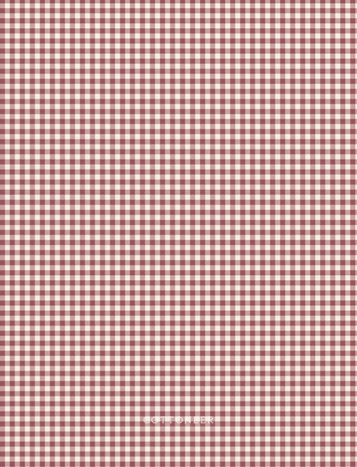 checks-paprika-nest-by-ghazal-razavi-1