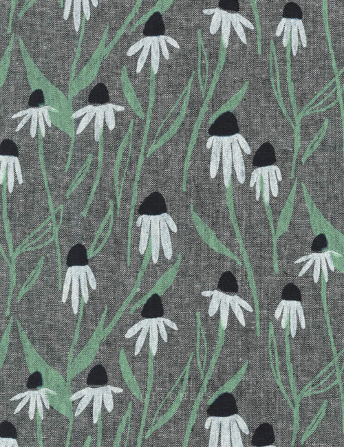 coneflower-in-black-quarry-trail-by-anna-graham