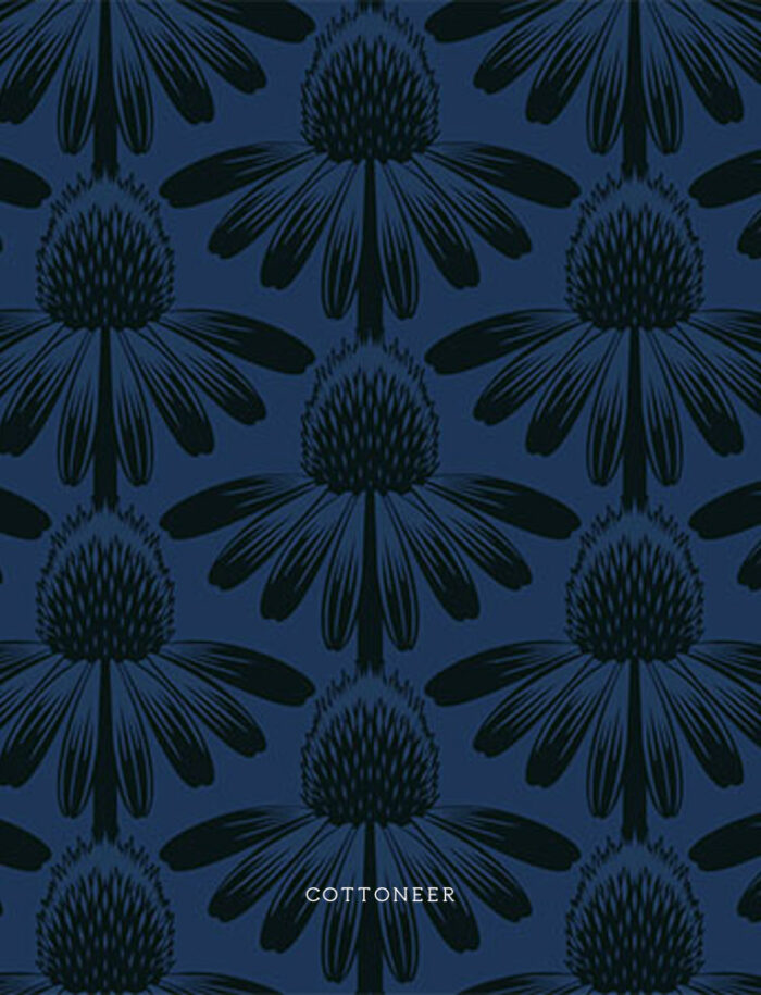 coneflower-in-night-indelible-anna-maria