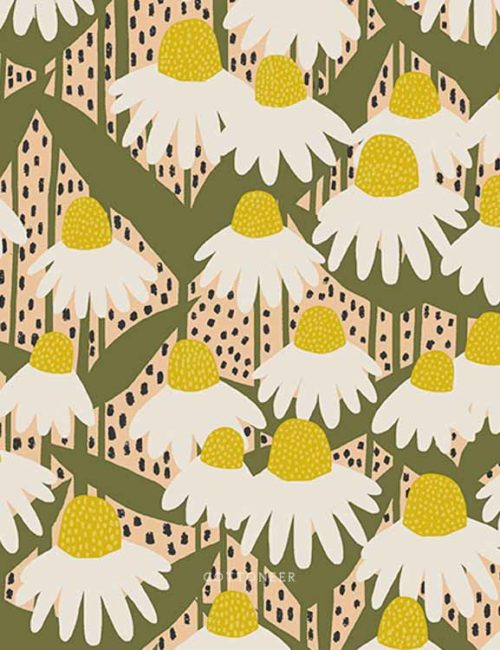 coneflower-in-sunshine-perennial-by-sarah-golden