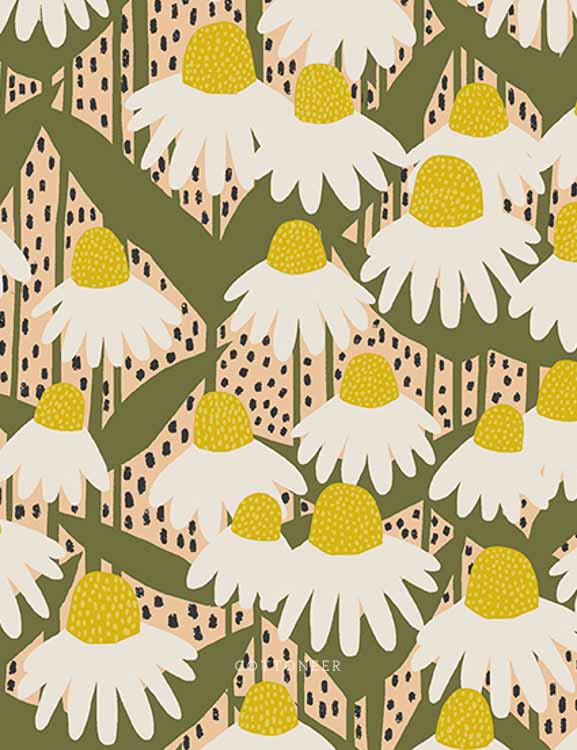 coneflower-in-sunshine-perennial-by-sarah-golden