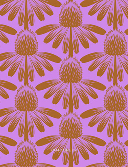 coneflower-in-taffy-indelible-anna-maria