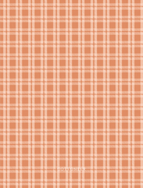 cozy-gingham-birch-fairview-avenue-by-bari-j
