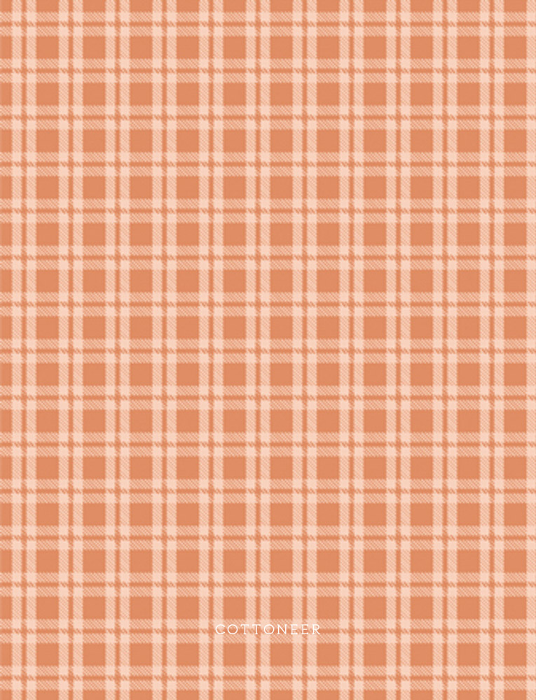 cozy-gingham-birch-fairview-avenue-by-bari-j