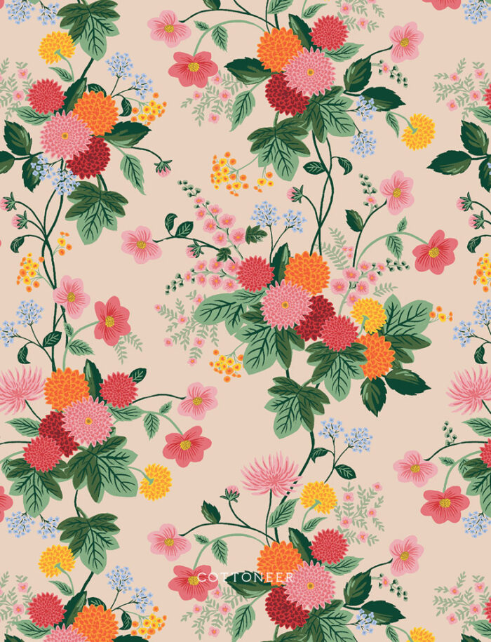dahlia-blush-dahlia-by-rifle-paper-co