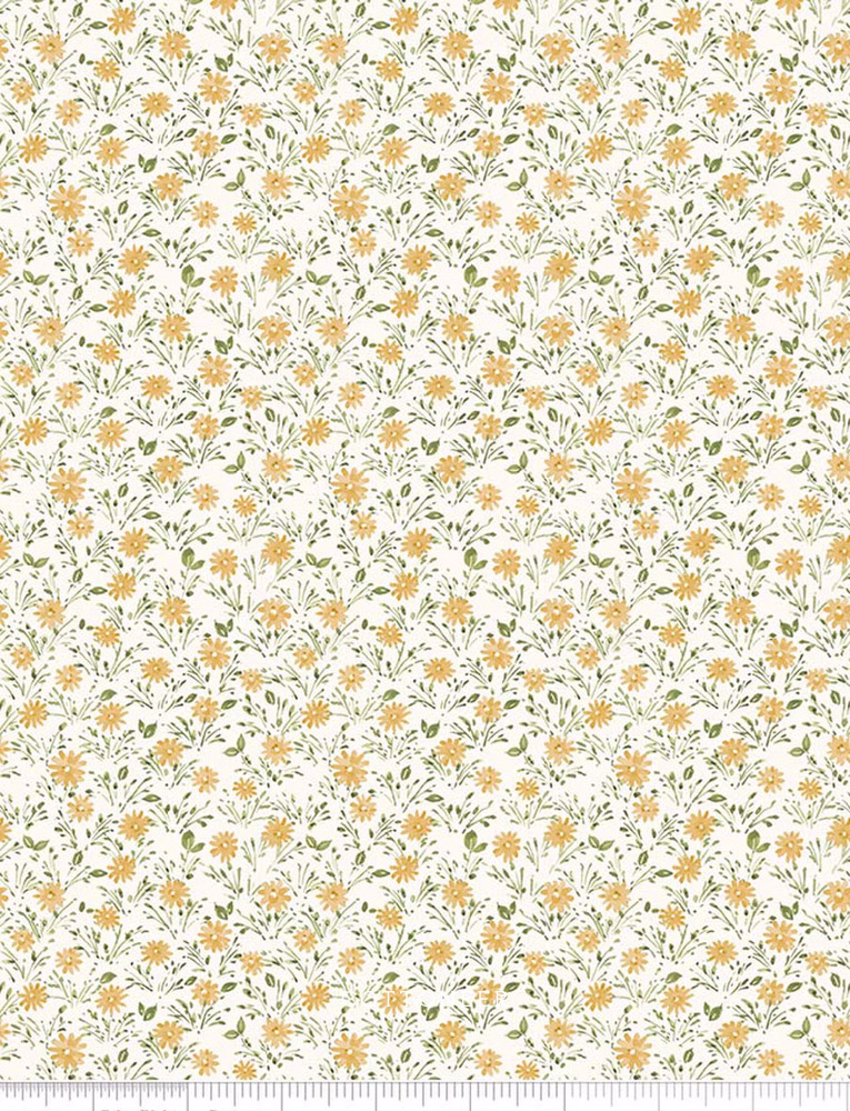 Daisies in Honey | Blissful Moments by Lisa Audit