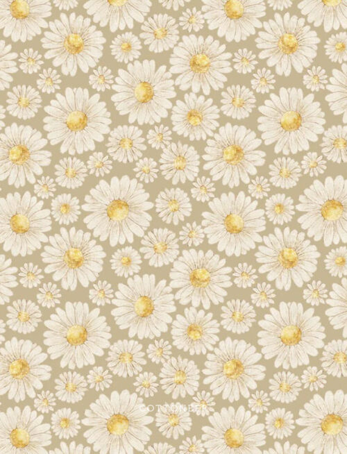 daisies-tan-tiny-waddles-by-jessica-yon-lo-3-2