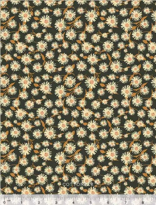 daisy-dance-in-midnight-willow-bend-by-cassandra-zaniboni
