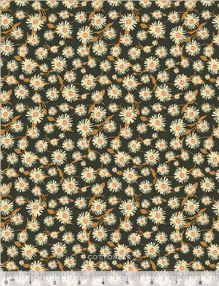 daisy-dance-in-midnight-willow-bend-by-cassandra-zaniboni