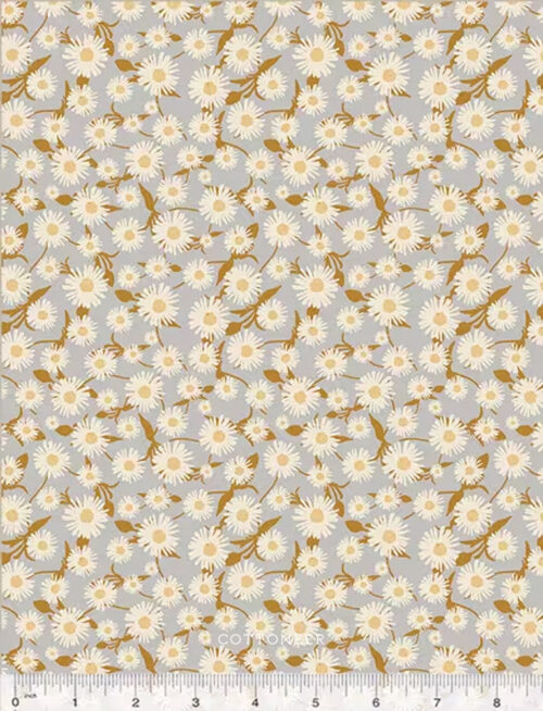 daisy-dance-in-silver-willow-bend-by-cassandra-zaniboni