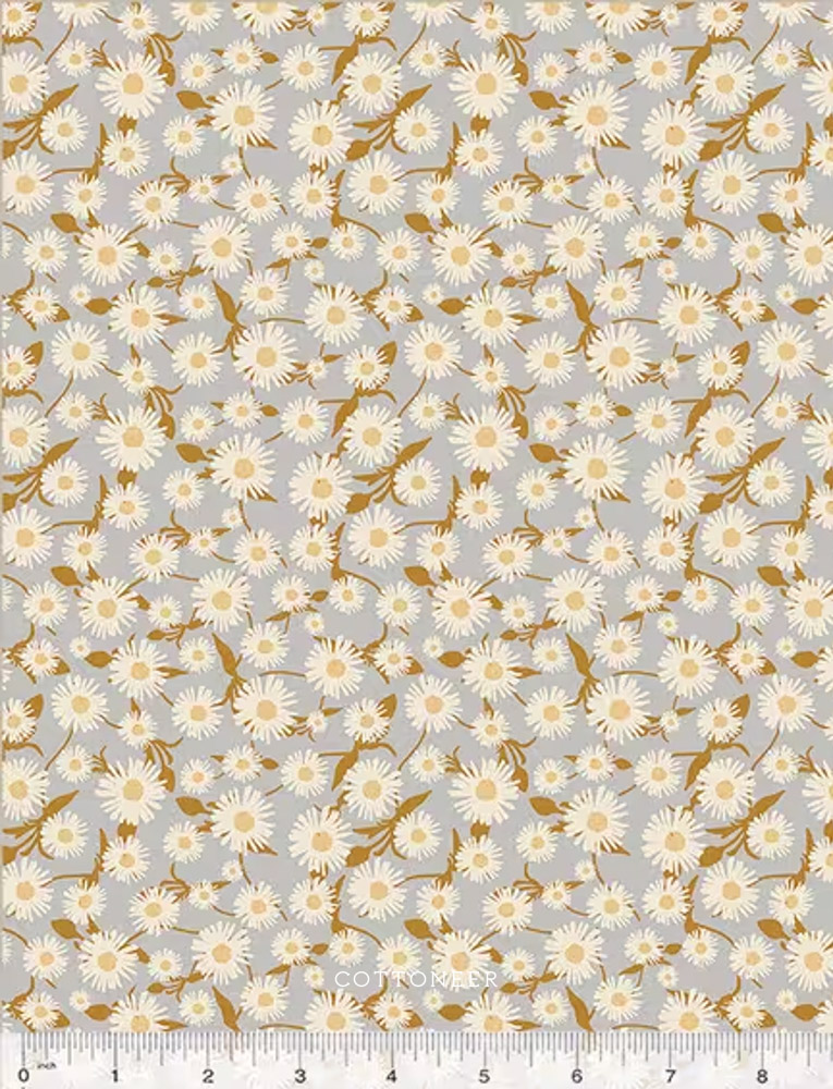 daisy-dance-in-silver-willow-bend-by-cassandra-zaniboni