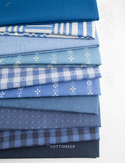 dash-of-blueberry-bundle-1