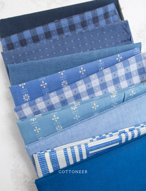 dash-of-blueberry-bundle-3