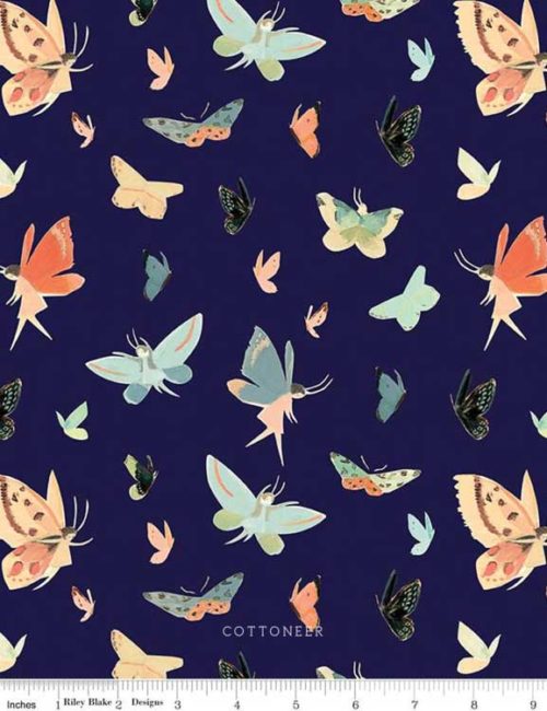 dream-world-butterflies-in-navy-by-emily-winfield-martin