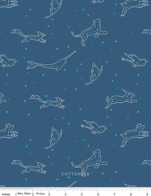 dream-world-constellations-in-blue-glow-in-the-dark-by-emily-winfield-martin