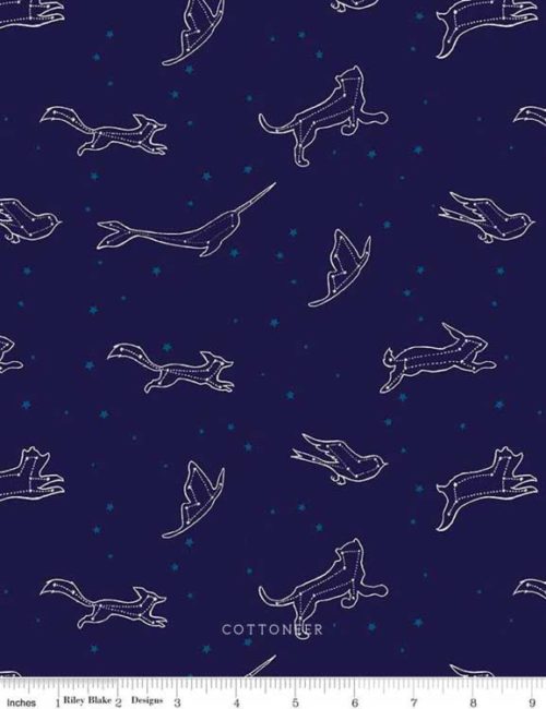 dream-world-constellations-in-navy-glow-in-the-dark-by-emily-winfield-martin