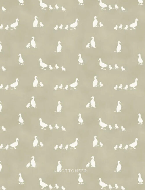 ducklings-green-tiny-waddles-by-jessica-yon-lo-2-2