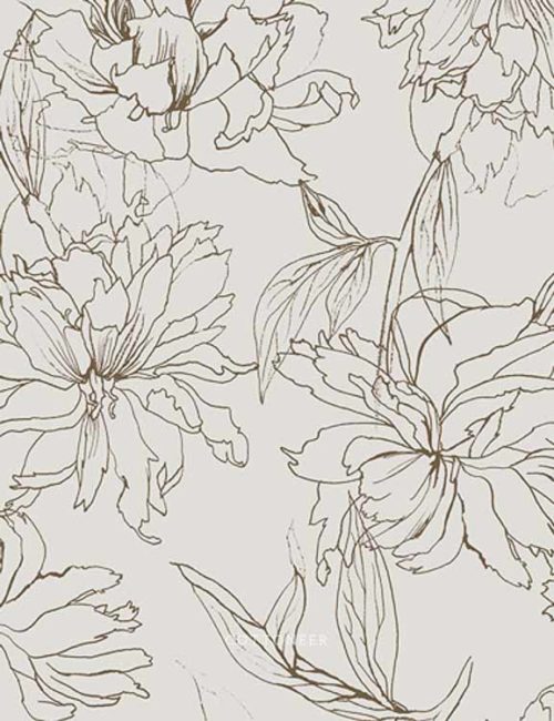 fair-peonies-traced-by-katarina-roccella