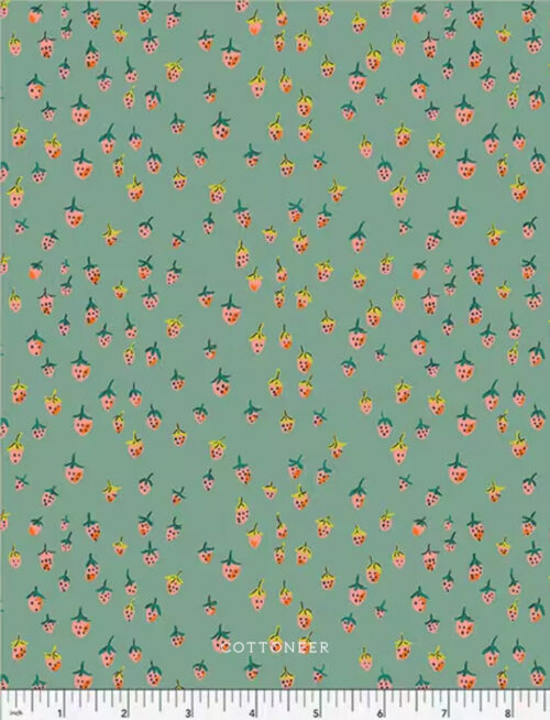 field-strawberries-teal-heather-ross-favorites
