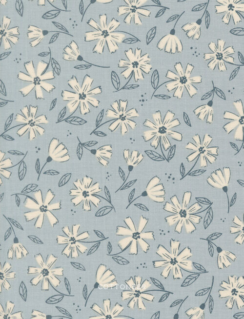 florals-sky-natures-sketchbook-by-elena-amo-13
