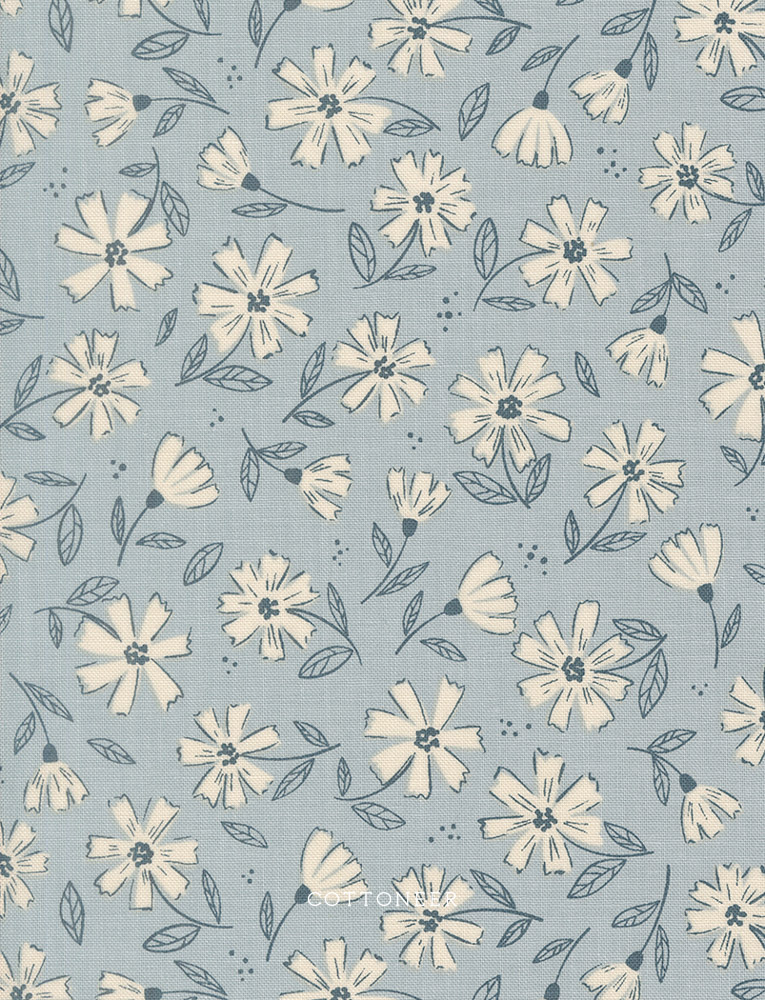 florals-sky-natures-sketchbook-by-elena-amo-13