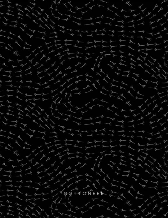 footprints-in-black-birdwatch-by-boccaccini-meadows
