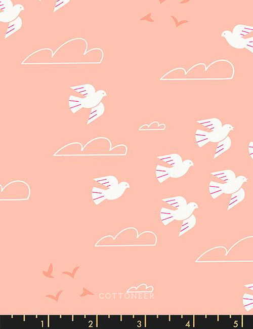 in-flight-in-peach-sunbeam-by-rashida-coleman-hale
