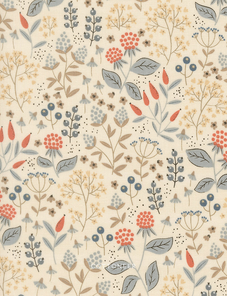 leaves-and-berries-pearl-natures-sketchbook-by-elena-amo-23