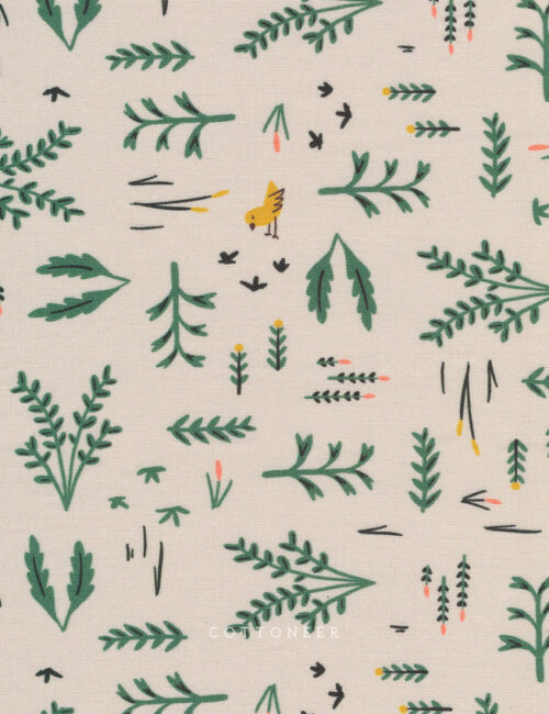 meadow-wild-things-by-betsy-siber