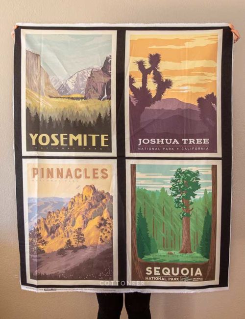 national-parks-california-panel-by-anderson-design-group-2
