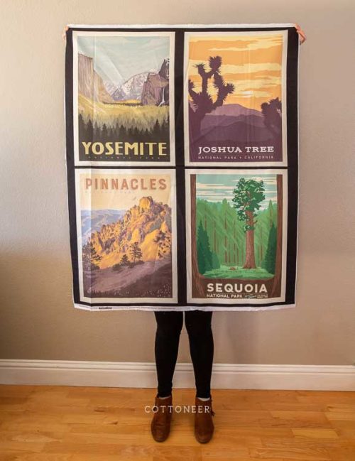 national-parks-california-panel-by-anderson-design-group