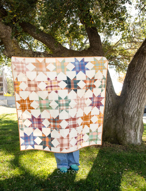 Throw Quilt Kit Star Crossed Quilt Fabric Bundle Duval Collection