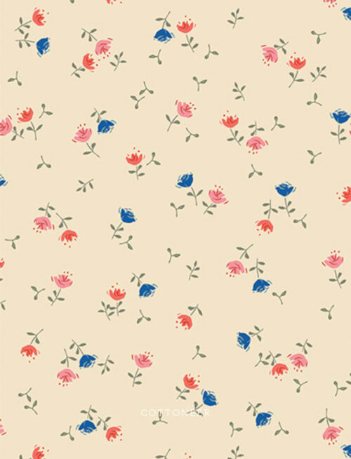 olivia-radiance-minimo-by-amy-sinibaldi