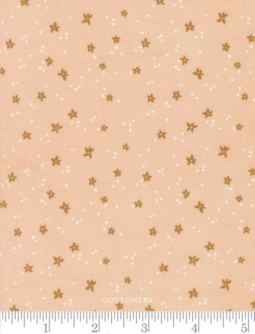 peach-blossom-cream-peachy-by-jessica-rose
