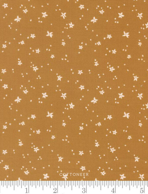 peach-blossom-honey-peachy-by-jessica-rose