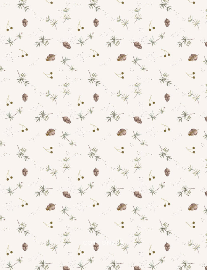 pinecones-white-cozy-cubs-by-bernadett-urbanovics