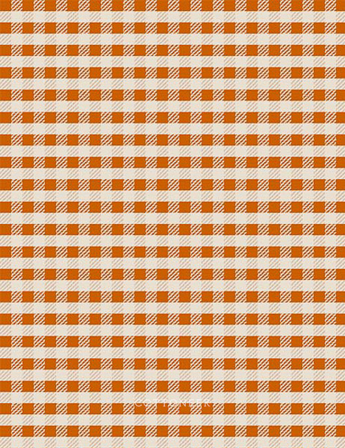 plaid-in-rust-wild-cottage-by-holli-zollinger