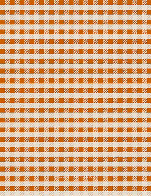 plaid-in-rust-wild-cottage-by-holli-zollinger