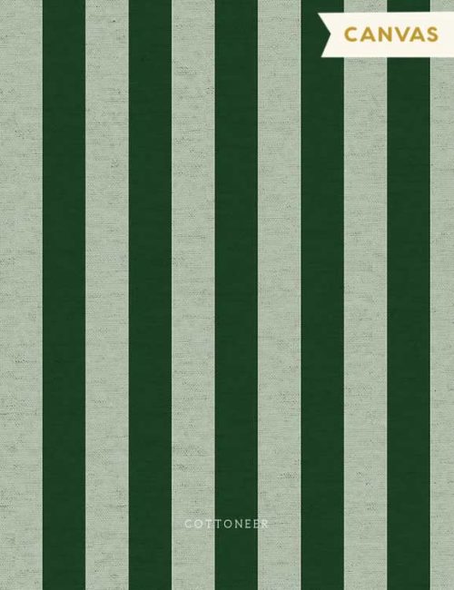 primavera-cabana-stripe-in-mint-canvas-by-rifle-paper-co-2