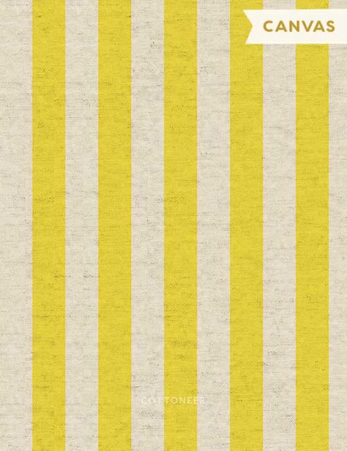 primavera-cabana-stripe-in-yellow-canvas-by-rifle-paper-co-2
